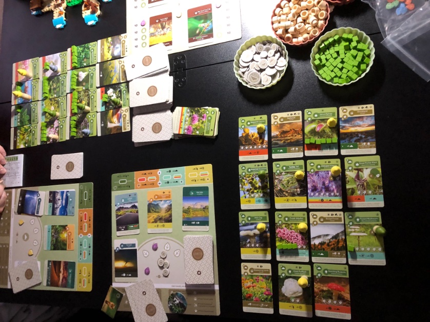 Played Earth on Earth Day during Earth Hour by candlelight and lantern. We tied I won for soil! Such a great game! Everytime we play I am reminded why it’s my favorite board game. Happy Earth Day!!🌎🌍🌱🌳