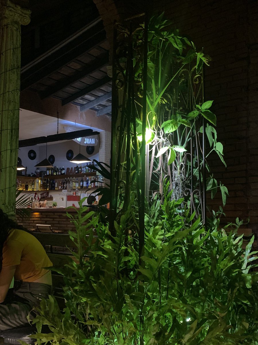 ir a lugares así es lo más relajante que hay 🌿