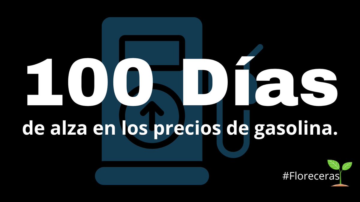 #100DiasDeGobierno #SemillaCorrupta