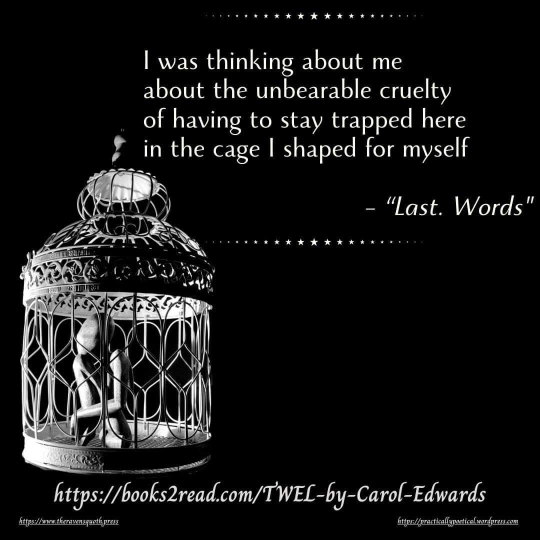 3 days til I've had a book out for a year!! 😱 THE WORLD EATS LOVE by @practicallypoet books2read.com/TWEL-by-Carol-… Poems bearing up under the weight of longing, loss, & regret. #poetrycommunity #poetrylovers #poetry #darkpoetry #poetrybooks #kindle #supportwriters