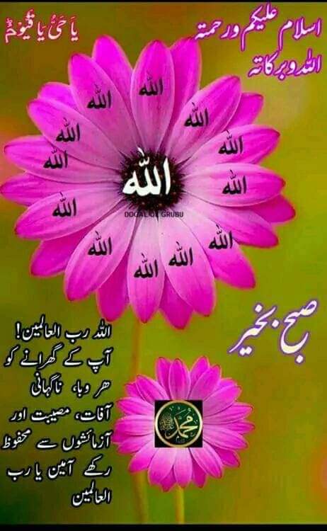 اسلام علیکم ورحمتہ اللہ وبرکاتہ
صبح بخیر
ذہنی تھکاوٹ خوابوں کا بوجھ ہی تو ہوتی ہے جسے نا تو سر جھٹک کر خود سے دور کیا جا سکتا ہے اور نا ہی اندر کہیں دبایا جا سکتا ہے...*
#X_promo
#روان_عبدالله 
#ไบร์ทเนเน่
