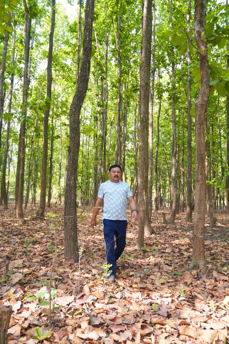 Embracing the morning amidst Kokrajhar's tranquil sal trees, wishing you all a fantastic day ahead.

#GoodMorning
#FitIndiaMovement 
#fitnessmotivation 
#fitindia 
#stayfitstayhealthy