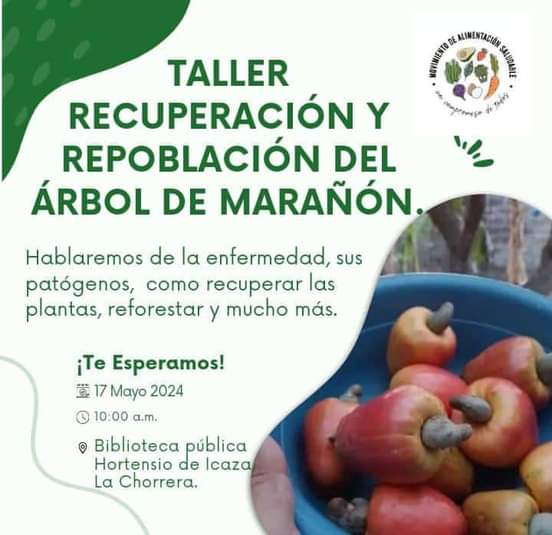 Innovapeagro's tweet photo. https://t.co/7y0s4n75yc