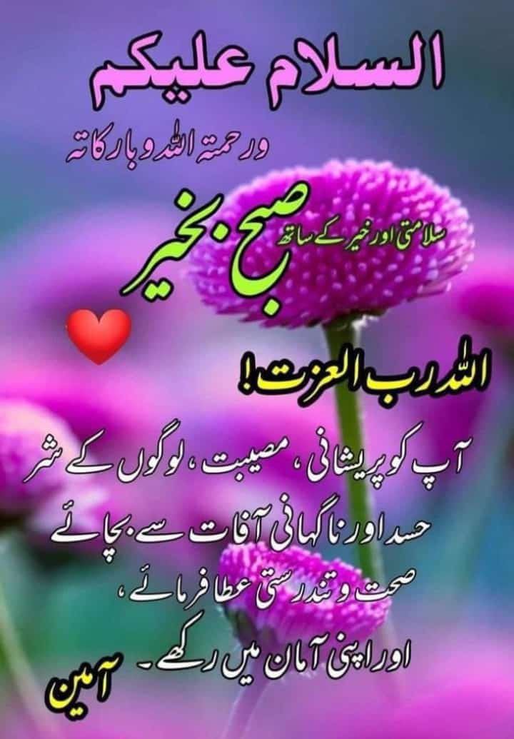ا لسَـــــــلاَمُ عَلَيــْــكُم وَرَحْمَةُ اللهِ وَبَرَكـَـاتُۃ 🤲
🌈صـبـــــــــــــح بـــــخــــیــــــــر
رب_کعبہ سےالتجاہے.
 کہ آپ كوھمیشه اپنى رحمتوں کےساۓ میں رکھے .ظاہری باطنی روحانی جسمانی تکالیف سے محفوظ فرماۓ.
اور راحت جان, رزق حلال اورصحت  مند عمر عطا فرماۓ.
یا اللہ