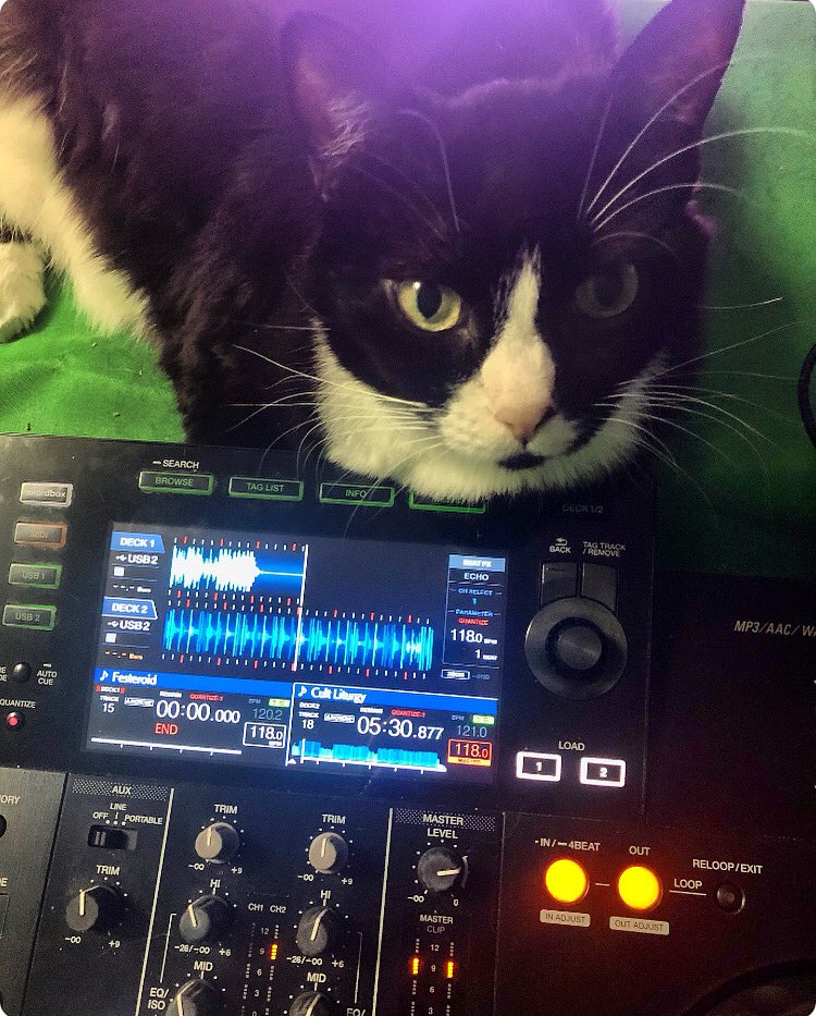 Vox_Sinistra's tweet photo. What the people see: black void blocking mixer
What I see: ๐โโฌ๐ฅฐ
#cats #cat #catlover #catlovers #tuxedocat #tuxedokitty #djtuxedobeans #catdj #djcat https://t.co/FRsdT3rS31