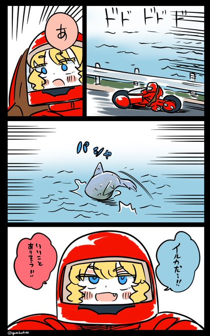 目撃したフロリダちゃん日記です。🐬 