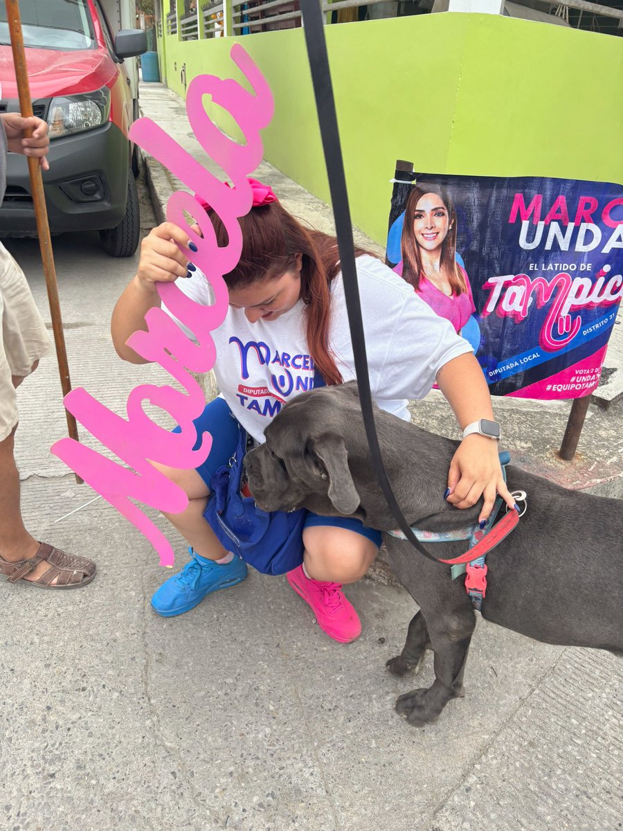 Danny Ocean 🐚🌊 tweet media