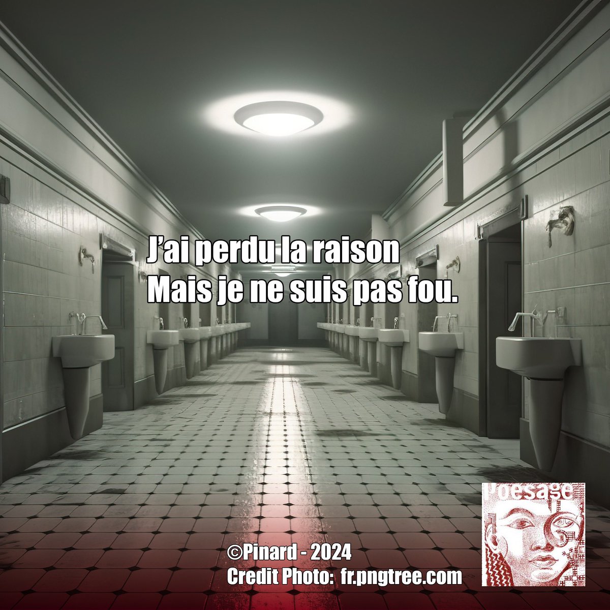 J’ai perdu la raison 
Mais je ne suis pas fou.

©Pinard – 2024

#folie #fou #esprit #raison #pensee #demence #deraison #senile
#poesie #poetry #instapoem #instapoetry #ecriture #writing #auteurfrancais