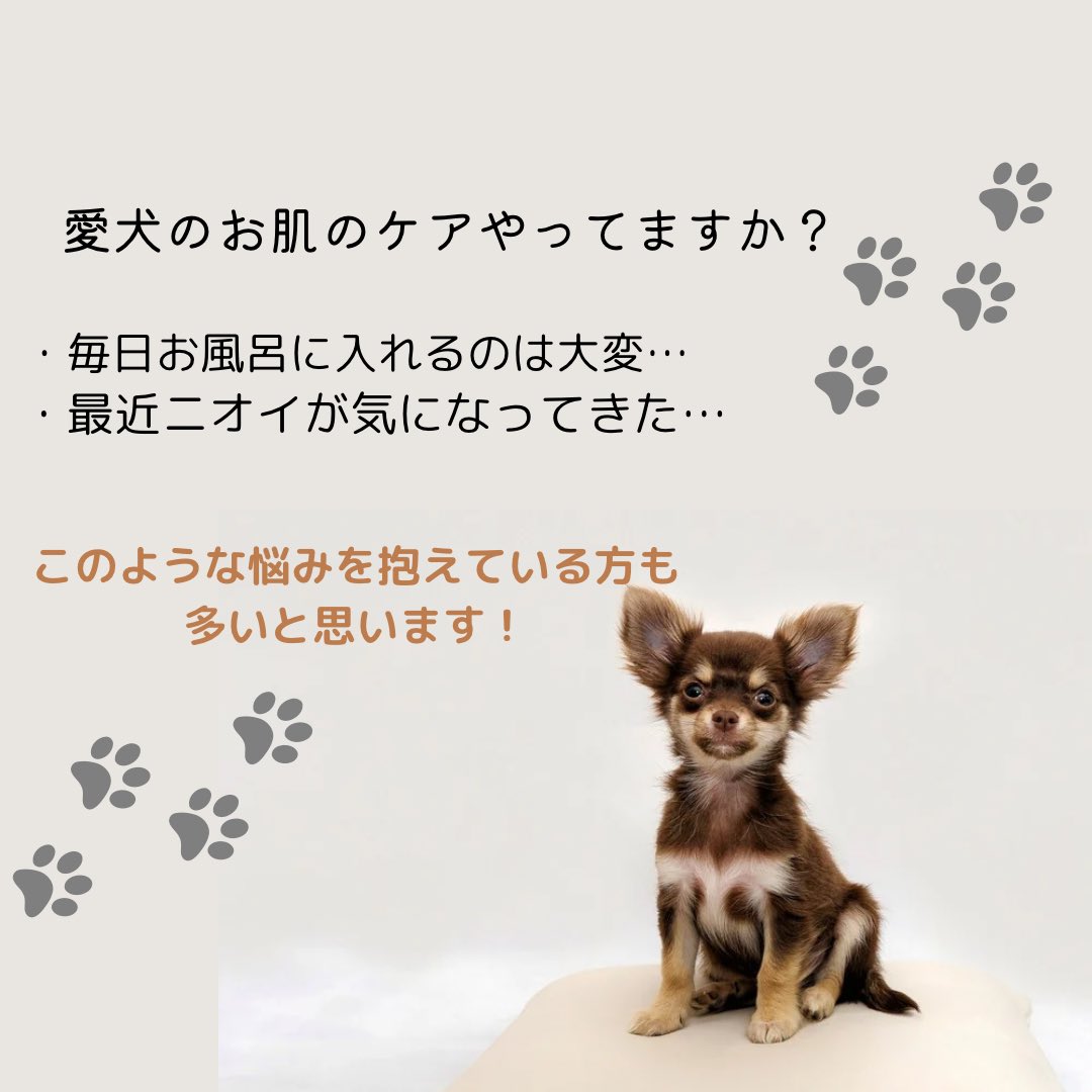 hadafine's tweet photo. ラッピングも承ります https://t.co/F3ocdb99PN