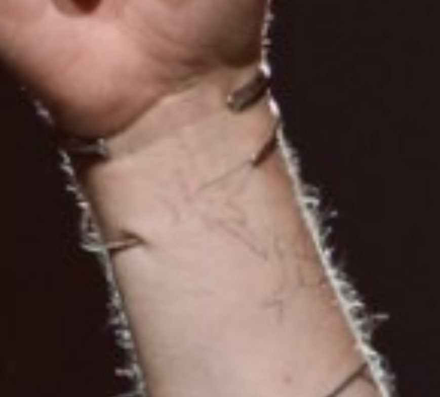 wait I might be late to noticing this but Joe has two little bird tattoos?? 🥹