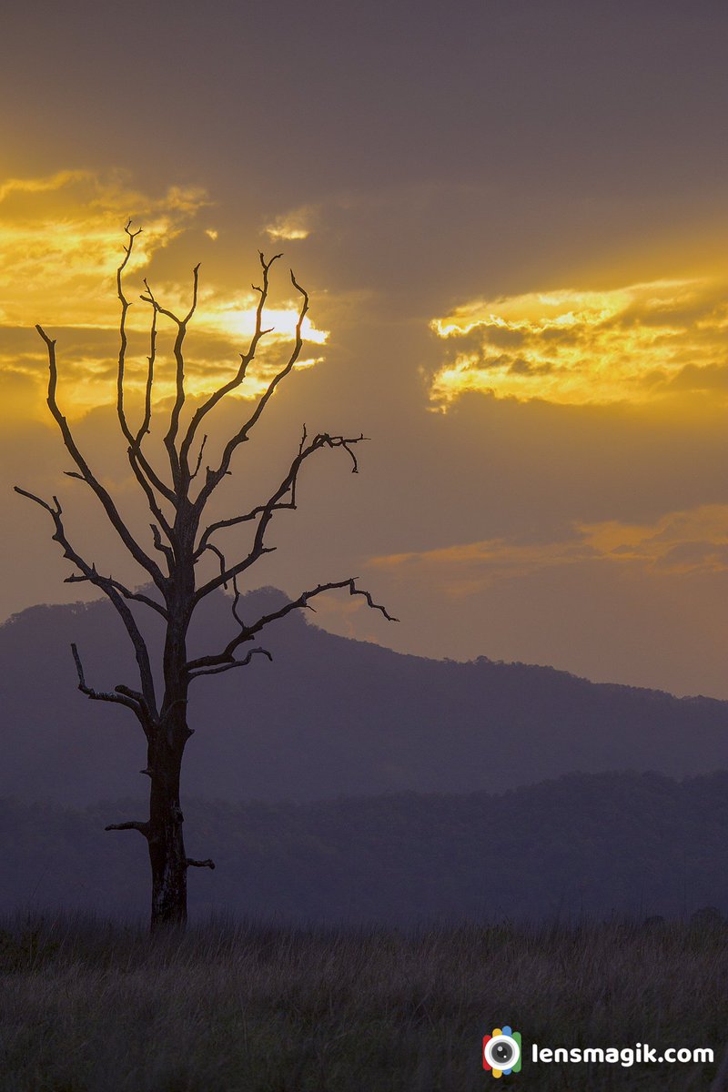 Landscape photos bit.ly/3oZvSpq Corbett National Park #corbettnationalpark #landscape #landscapephotography #sunsetphotography #corbettlandscapes #uttarakhand #wildlifeIndia #tigersanctuaryIndia #sunrisephotos #sky #mountain #sun