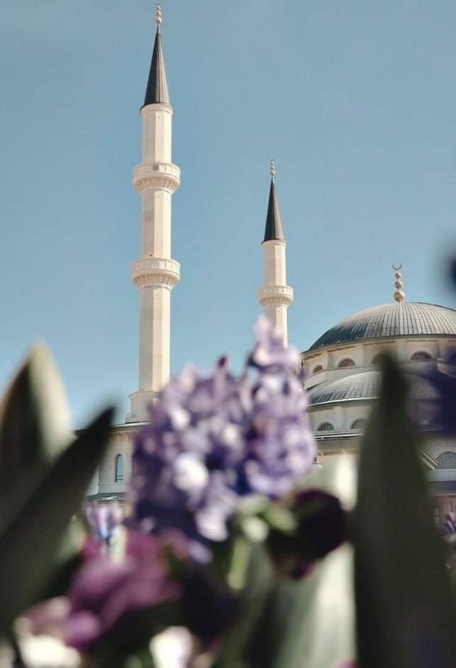 ALLAH’ım! Yolumuzu, Bahtımızı ve Yarınlarımızı, Aydınlık Eyle.. Dert, Sıkıntı ve Kederlerimizi, Sevince ve Feraha Tebdil Eyle.. İşimizi, Aşımızı ve Rızkımızı Ziyâde Eyle.. Sabah’ul Hayr 🍁🍂