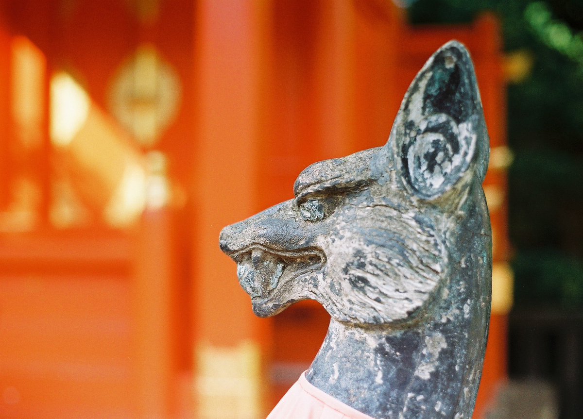 GkNyEERf4dJCGYD's tweet photo. #フィルムカメラ
#OLYMPUS
#OM4TI
#ColorNegative
#Lomography
東京お散歩♫ https://t.co/B0PGVqQFOM
