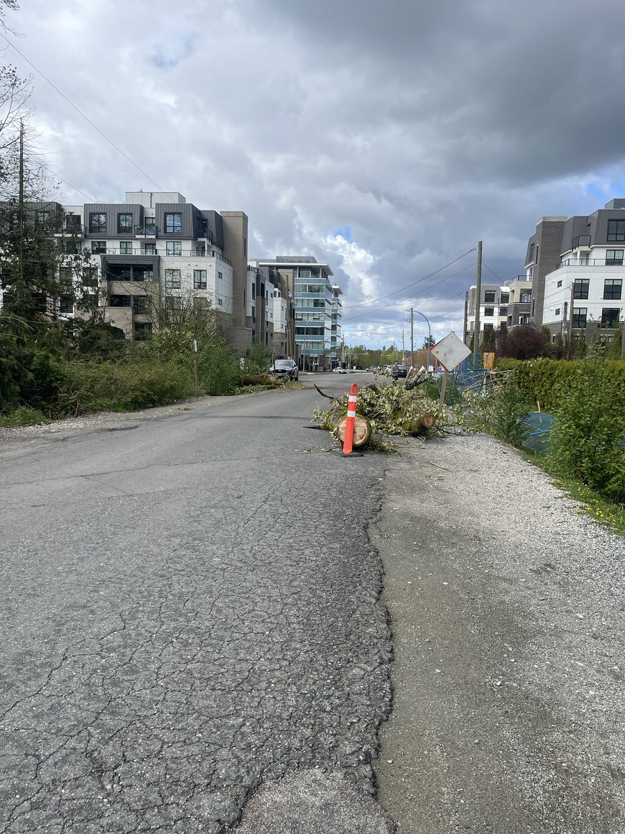Codster13's tweet photo. @LangleyTownship any chance you can take care of this tree that’s been blocking 84th at 201 st? https://t.co/TSjQdrB3Kk