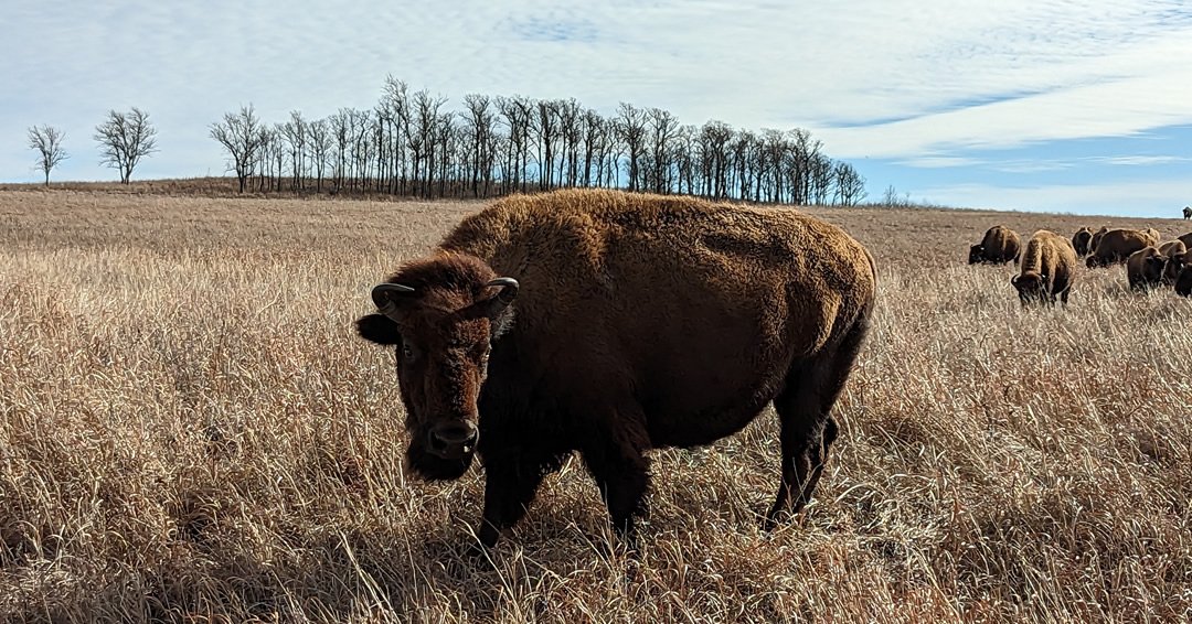 The Devil's Architect || One of the Creator's Favs tweet media