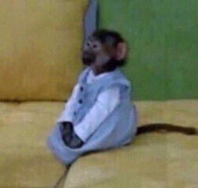 pacientemente esperando la 4ta temporada de fairy tail para ver si el fandom revive y volver a aparecer por aquí