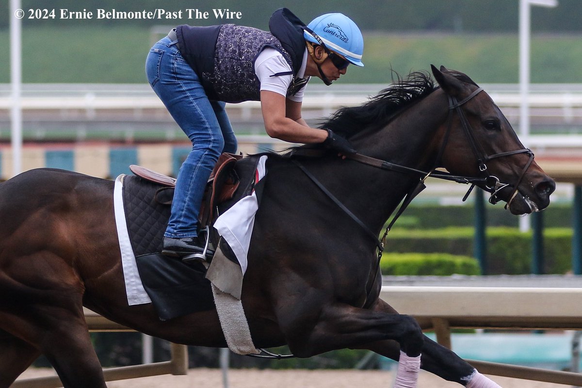 Ruby Nell (5F: 1:00.20 H) working this morning.