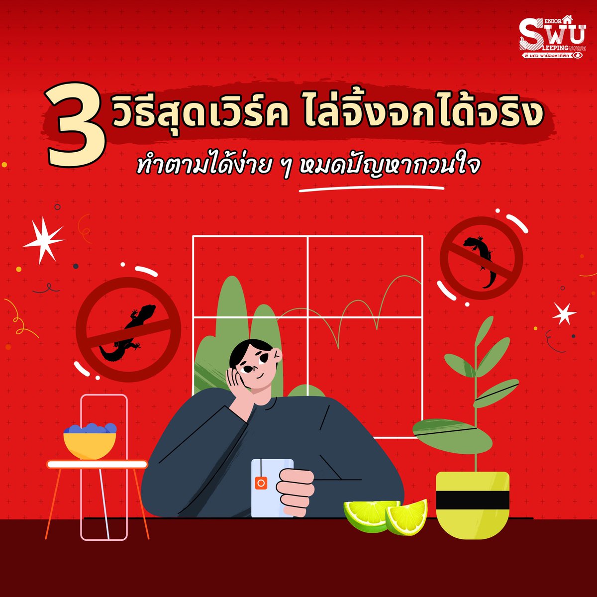 🚫🦎 3 วิธีสุดเวิร์ค ทำตามง่าย ๆ 
ไล่จิ้งจกออกจากห้องพักได้จริง ‼️
.
#มศว #มศวประสานมิตร #ประสานมิตร #สาธิตมศว #สาธิตประสานมิตร #ทีมมศว #หาหอมศว #หาเมทมศว #Dormswu #หอพักมศว #คอนโดมศว #SWU #คอนโดประสานมิตร #พี่มศวพาน้องหาที่พัก #SWUsleep