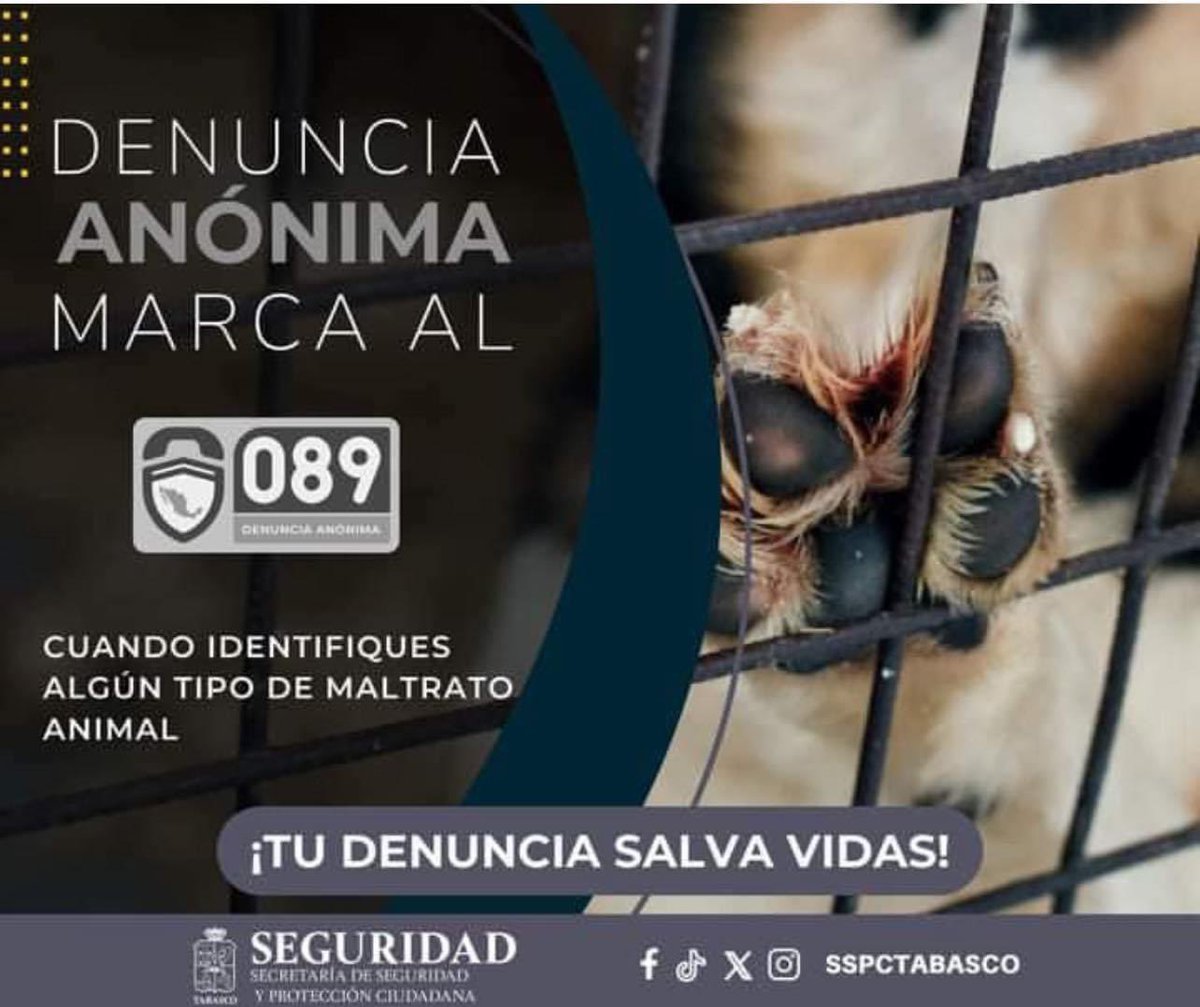 ‼️LO LOGRAMOS‼️ Ahora te toca a ti ser su voz ¡DENUNCIA! Fomentemos el amor, cuidado y respeto por los animales de compañía. #Caninos911 #Refugio #Dogs #PorUnTabascoLibreDeCrueldadAnimal #Perros #Razaunica