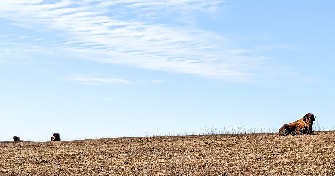 The Devil's Architect || One of the Creator's Favs tweet media