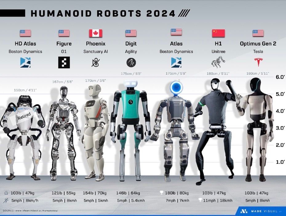Humanoid robots development for 2024