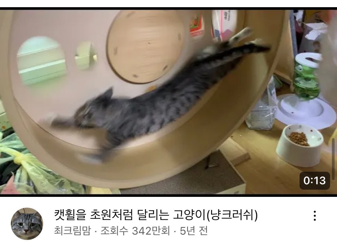 조회수봐… 알고리즘때매 뜬금없이 떴지만 저 스샷을 보고 어케 안누름ㅋㅋㅋㅋㅋㅋㅋㅋㅋㅋㅋㅋㅋㅋㅋㅋㅋ 너뭉웃갸ㅜㅜ