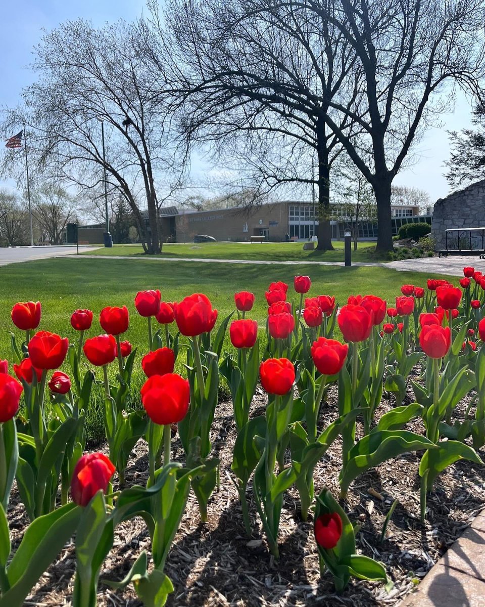 Happy Earth Day from our beautiful campus at 7655! 28 acres of natural beauty! #EarthDay @nddons