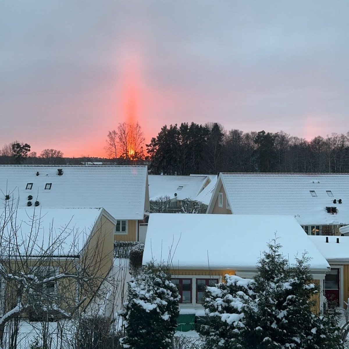 UTRGV_SAAC tweet media