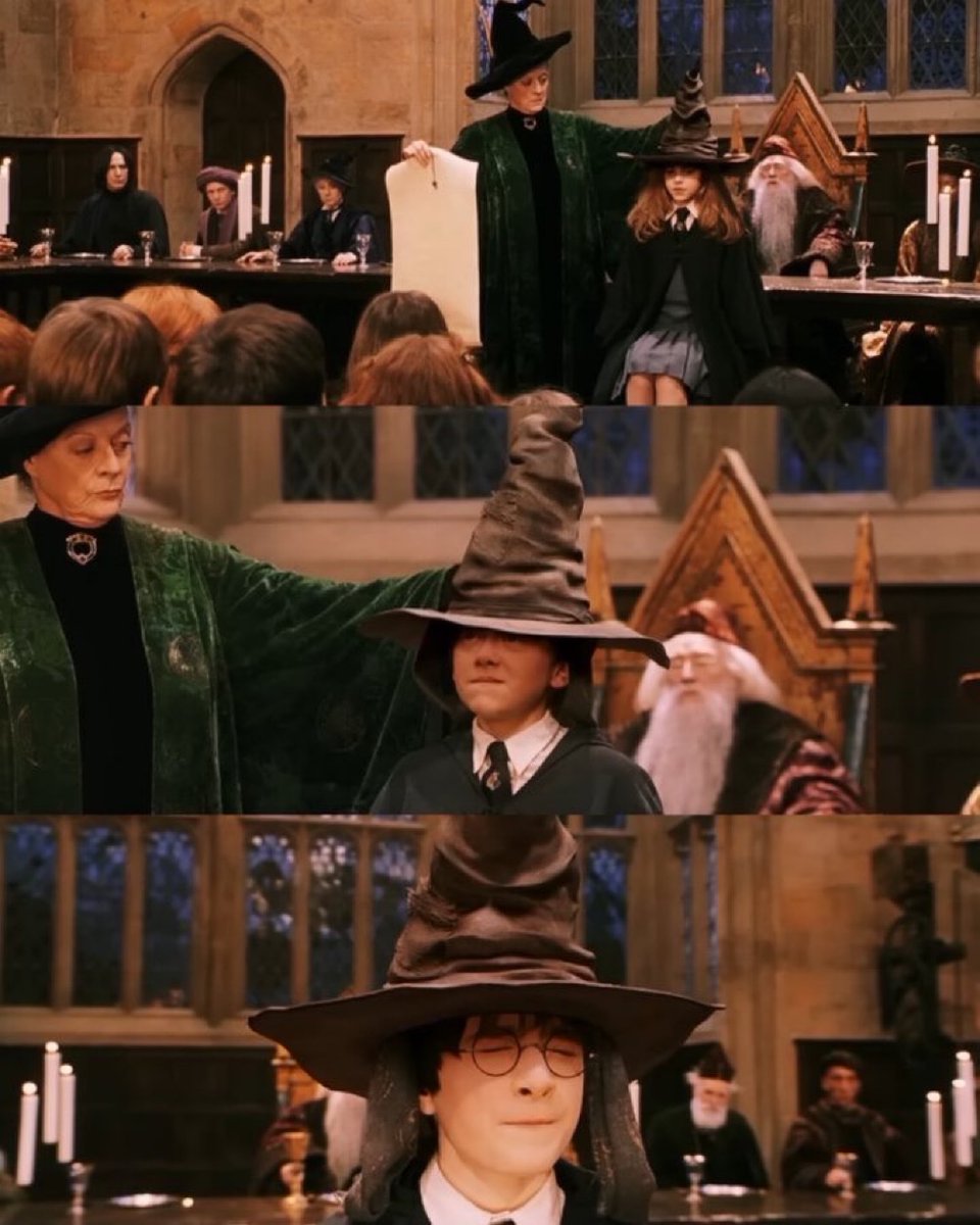 TheDailyHPotter's tweet photo. Better be…Gryffindor 🦁 https://t.co/TOaT702KWF
