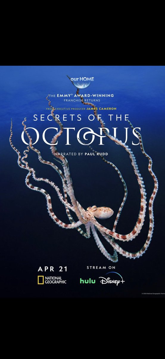 I cannot recommend this enough. It’s so good! #SecretsOfTheOctopus 🐙