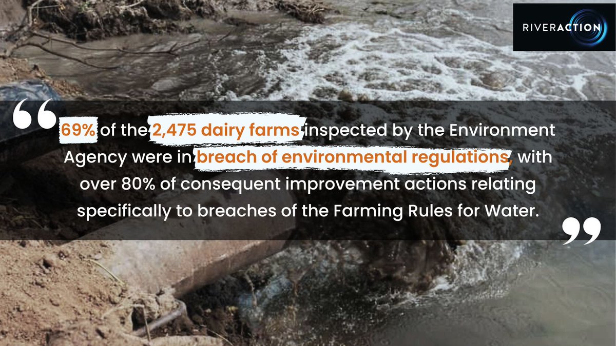 🚨The failure to enforce environmental regulations are among the main factors that have conspired to create one of the LARGEST causes of UK river pollution. #DairyReport 💩🐄⬇️ 📩Download our new report on the dairy industry & river pollution, HERE: 👇 drive.google.com/file/d/1PgytMl…