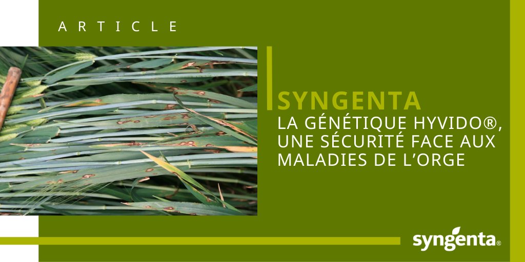 SyngentaFrance tweet media