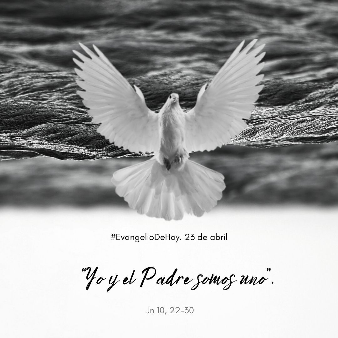 #EvangelioDeHoy. 23 de abril. Jn 10, 22-30. “Yo y el Padre somos uno”.