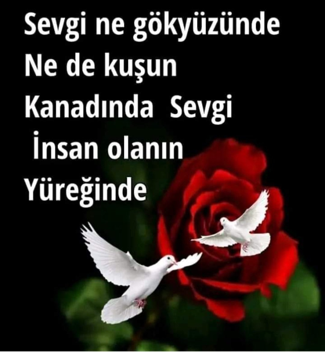 #SavaşaHayır
#Gazze
#FilistininSesiOl
#VeDünyaBarışı