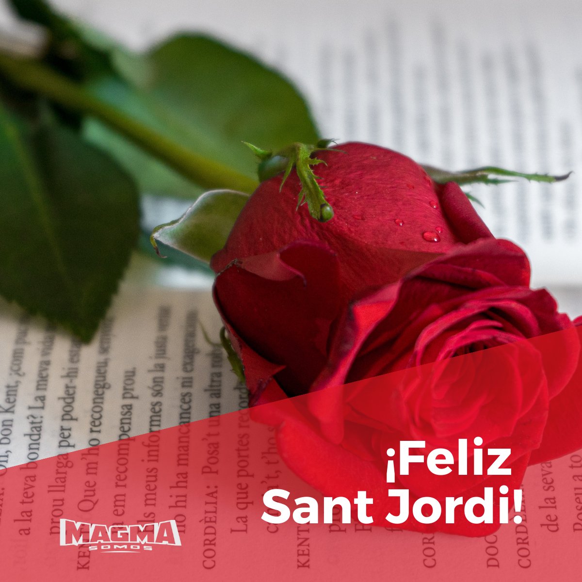 Hoy celebramos en Cataluña el día de #SantJordi. Cuenta la leyenda que Sant Jordi salvó a la princesa de las garras del dragón y de la sangre nació Magma.😉 Y Magma nació para salvar a las empresas de unas formaciones aburridas y poco significativas. 🦸‍♂️
#DíaDelLibro #NoEsUnCuento