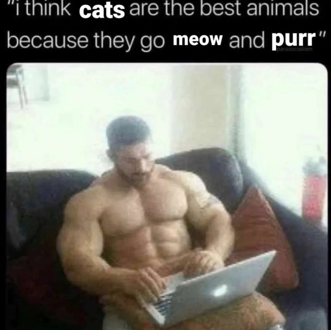 PunchingCat's tweet photo. https://t.co/wcHZlTdThv