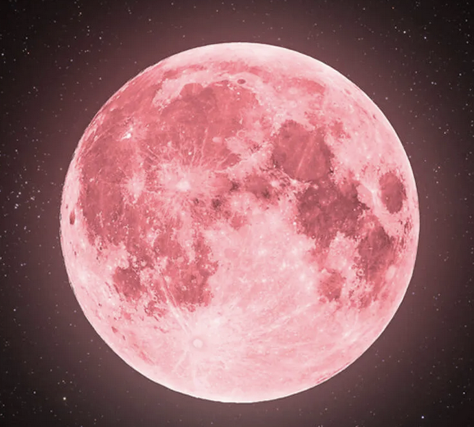 RubyMoon GymToSwim® tweet media