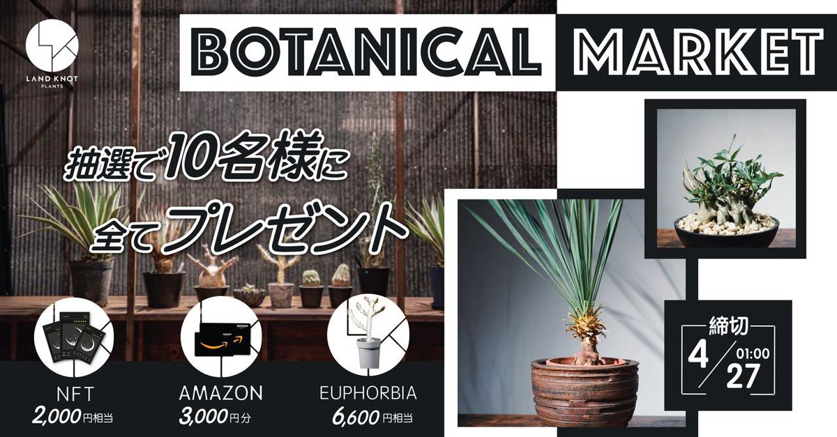 2024年4月27日(土)🪴植物販売イベント BOTANICAL MARKET開催 #キャンペーン 🎊
／
① 3,000円分の #Amazonギフト
② NFTアルカナ2,000円相当
③ ユーフォルビア ホワイトゴースト 6,600円相当 landknot-plants.com/products/white…
★抽選で10名様に上記を全てプレゼント🎁
＼
📮応募方法
