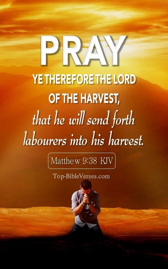 Matthew 9:38 KJV   “Pray ye therefore the Lord of the harvest, that he will send forth labourers into his harvest.”