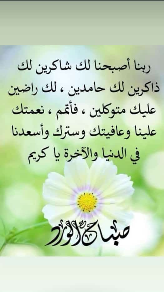 theeb747's tweet photo. https://t.co/FVGqi73tEI