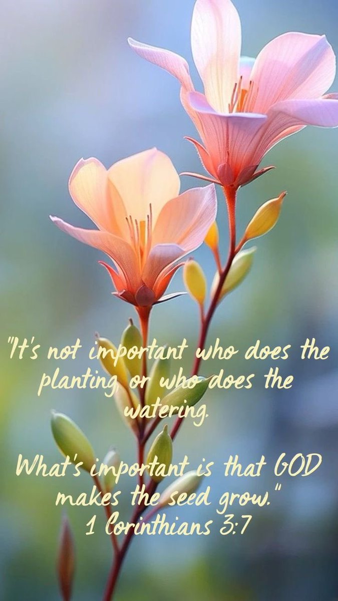 1 Corinthians 3:7 KJV 
 
🌷”So then neither is he that planteth any thing, neither he that watereth; but God that giveth the increase.”🌷