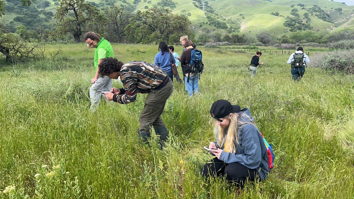 Out in the field collecting samples for a new  project! What did these grasslands look like before European contact?<a href="/PaicinesRanch/">Paicines Ranch</a>  <a href="/ucsc/">UC Santa Cruz</a> <a href="/ucscgenomics/">UC Santa Cruz Genomics Institute</a> <a href="/UCSCscience/">UC Santa Cruz Science</a>