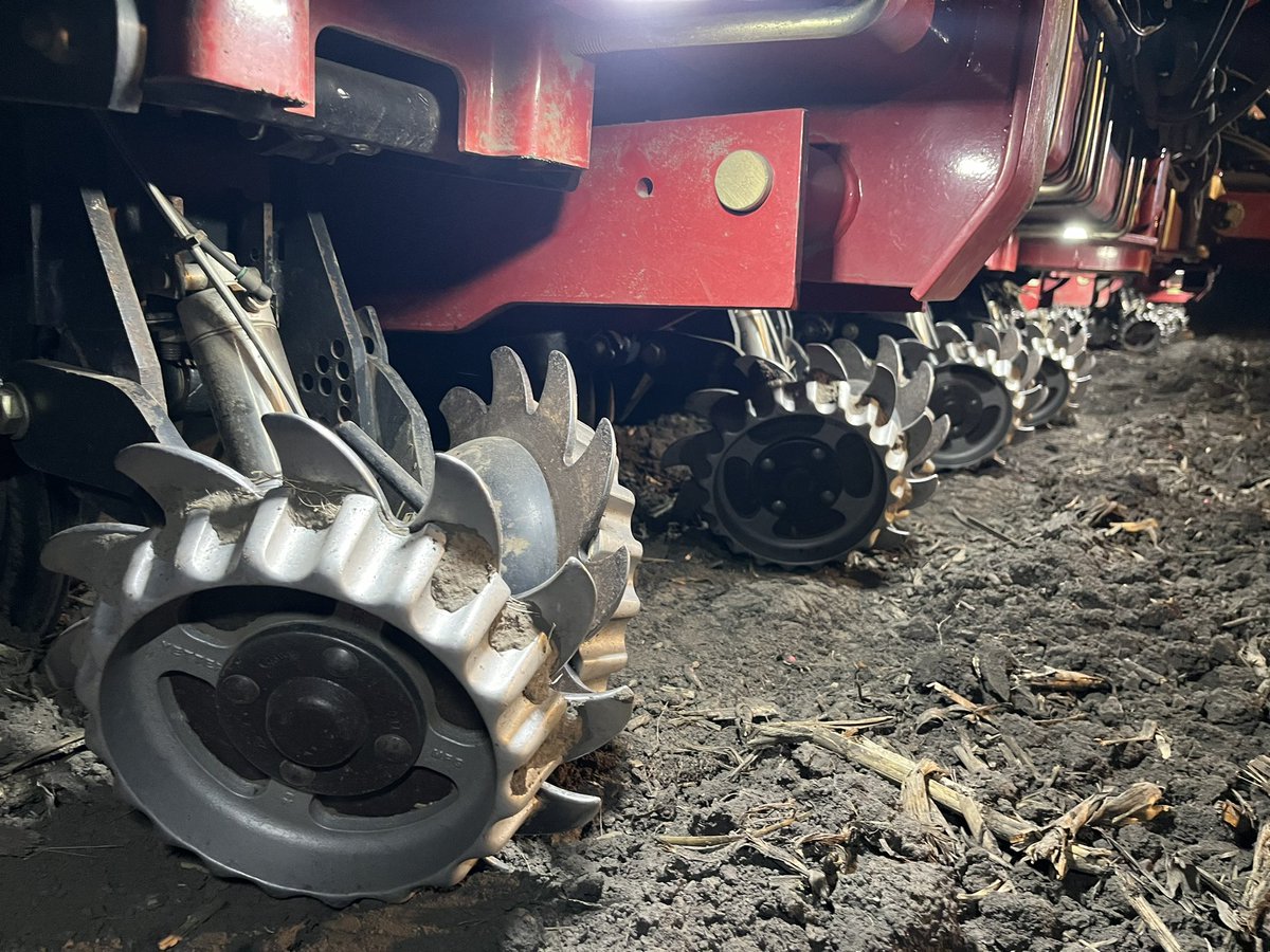 Brandon Hall tweet media