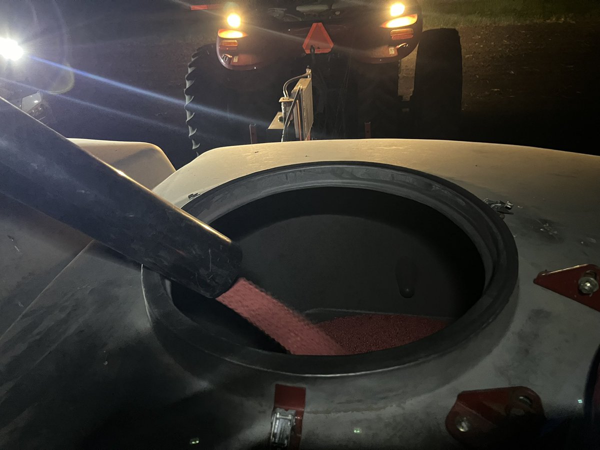 Brandon Hall tweet media