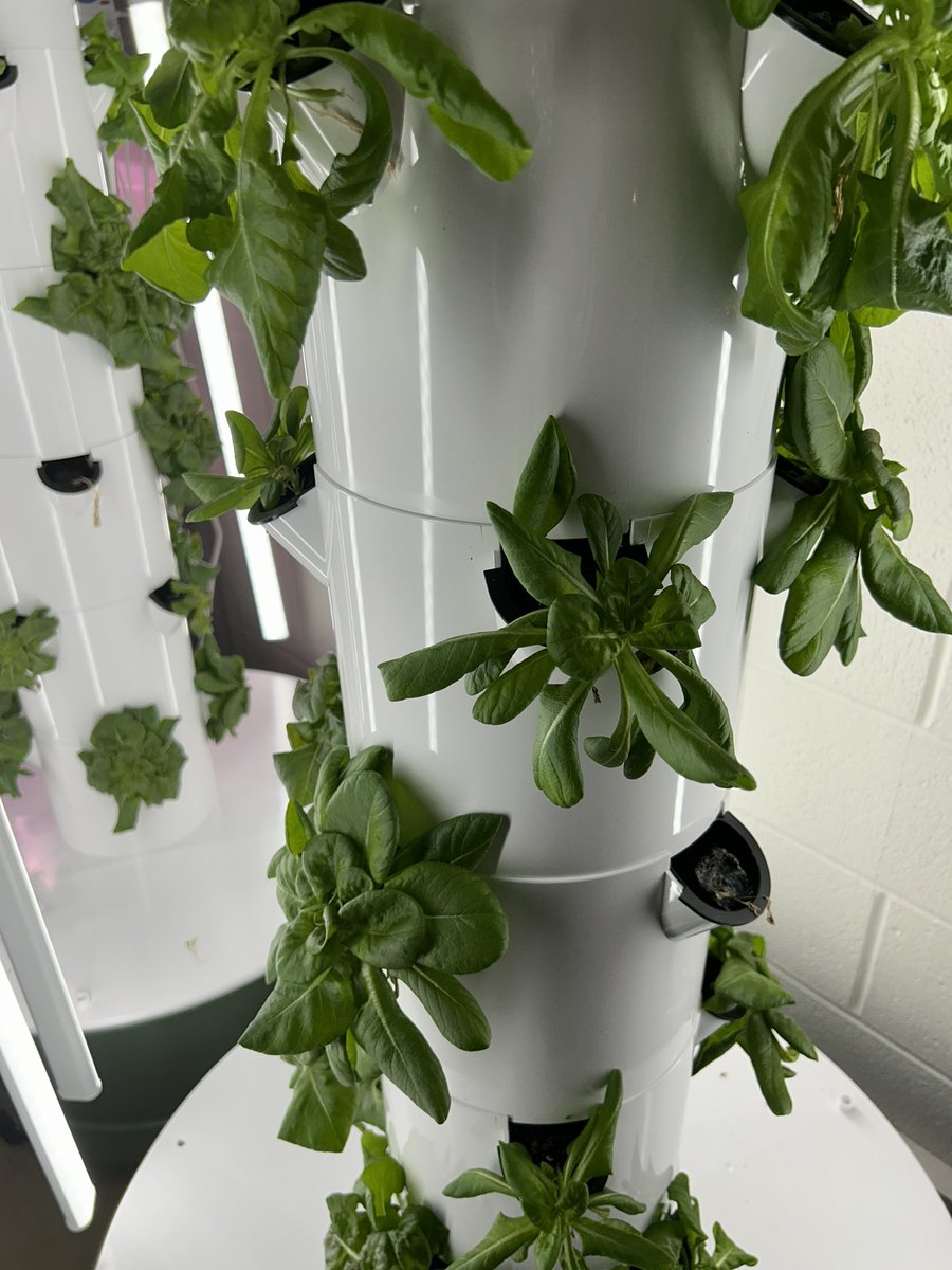 BioSTEM working on hydroponics and biofuels.