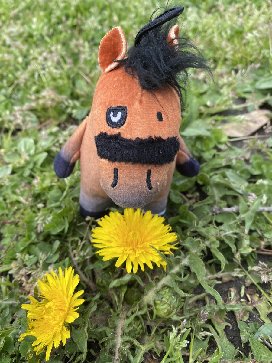 エフフォーリアぬいぐるみ】 キャロットクラブさんの ホームページにて