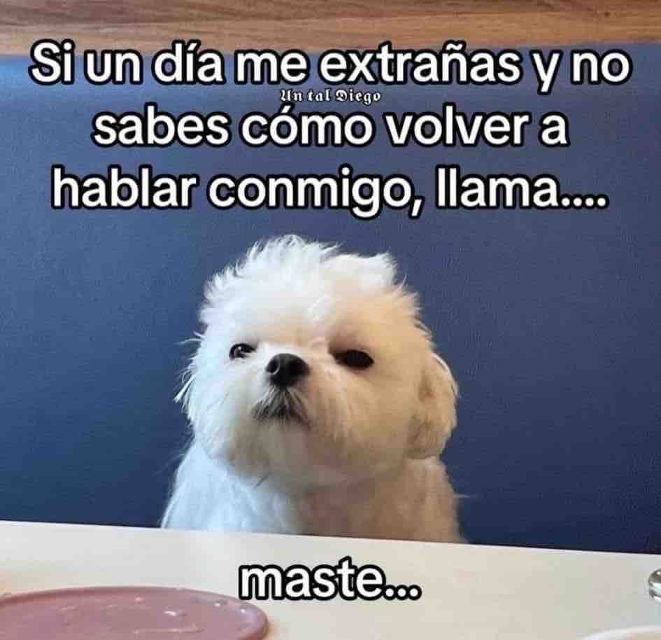 Guarromantico_'s tweet photo. He dicho. https://t.co/l632LgwrVg