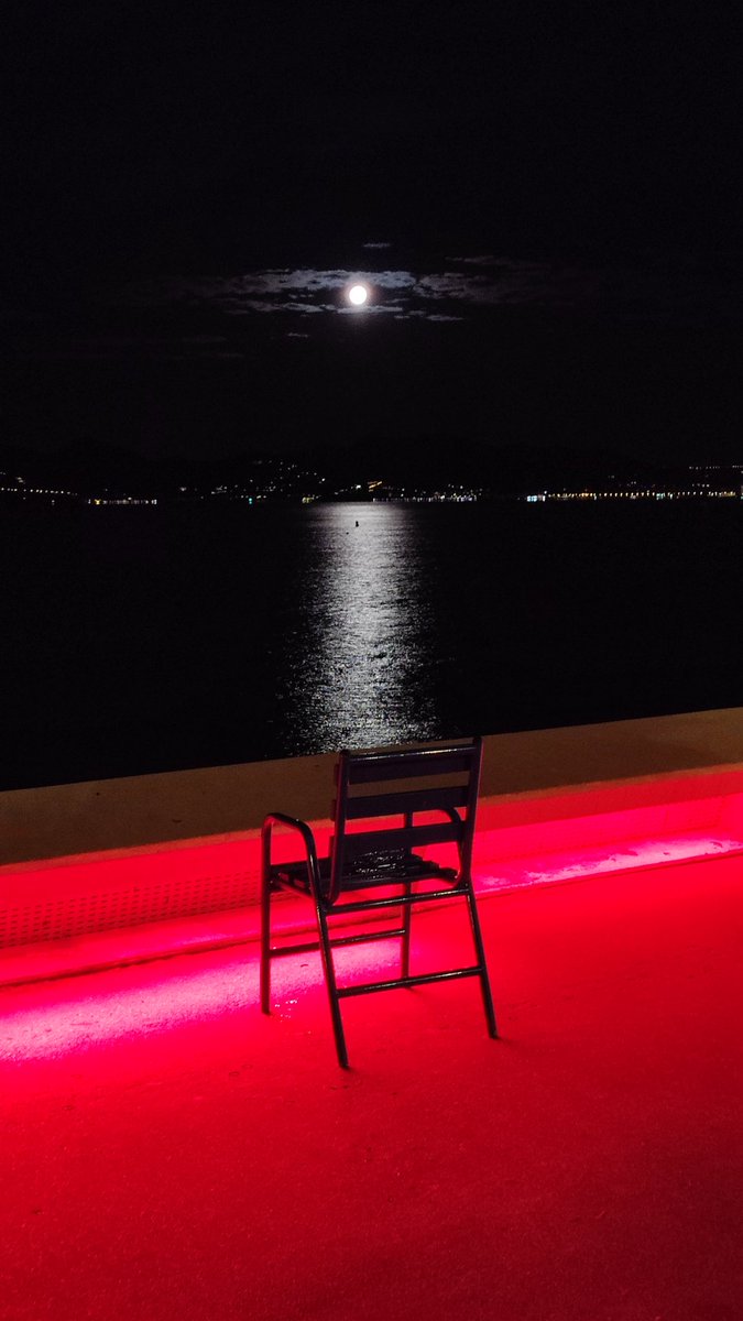 Michel de Cannes tweet media