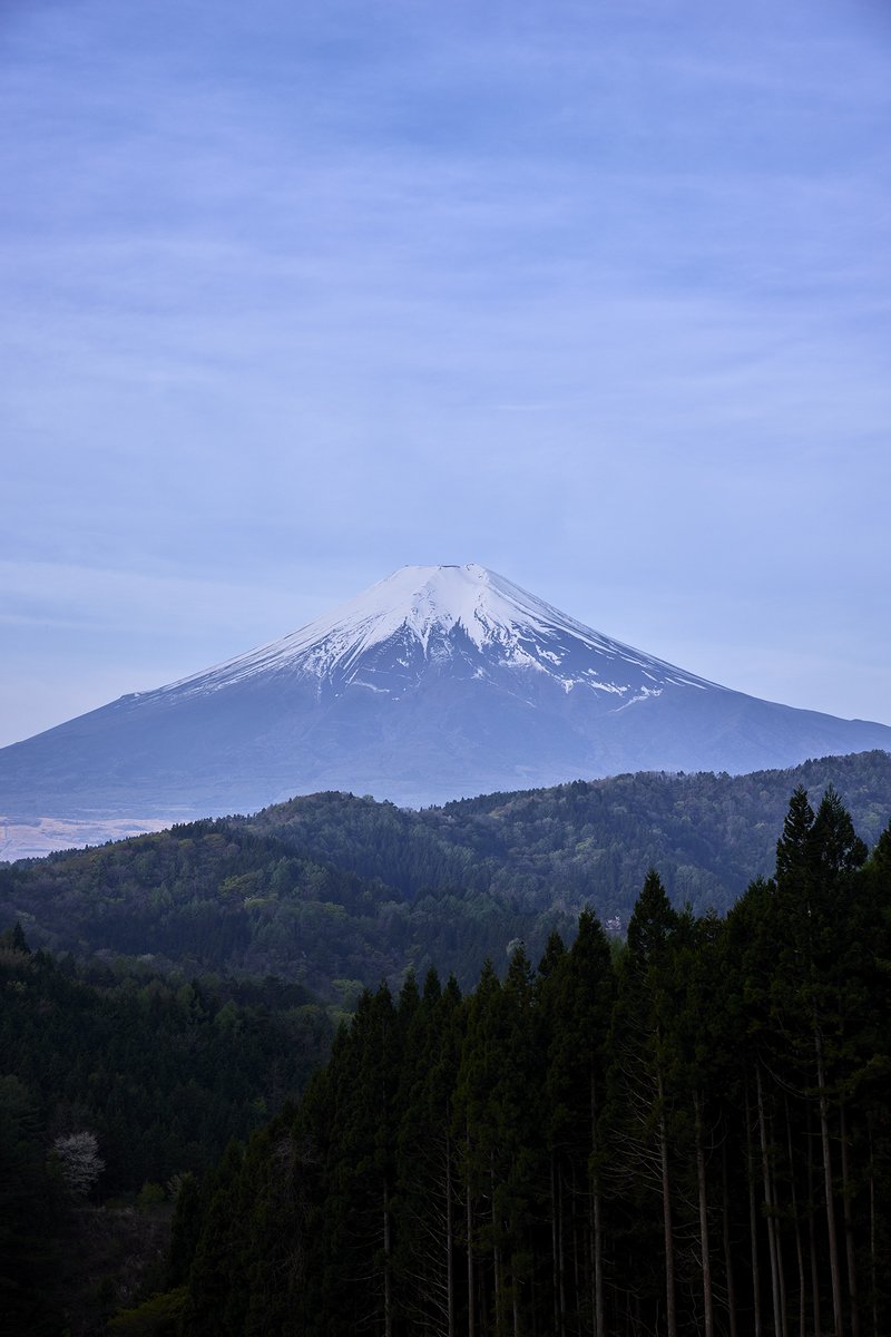 #MtFUJI100 大会3日前開催会議の結果について📢)) 4月22日(月)20:00より大会規定に則りレース実施3日前の開催会議を安全管理面・環境面で検討した結果以下の通り開催方針を決定いたしましたのでご報告いたします。 ＜Mt.FUJI100 2024コース利用方針＞