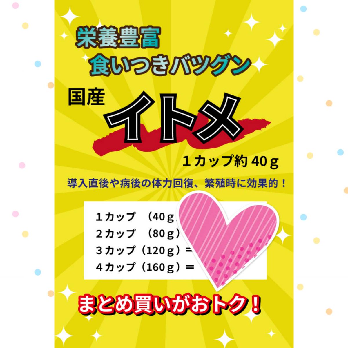 UdyZm's tweet photo. ヤバい、週末の「アクアブリーダーズフェスタ」の準備が全然間に合ってない(꒪∆꒪;)
とりあえず今年もイトメ出しますのでどうぞヨロシクお願いします
(*´艸`*)♡ https://t.co/hMd4z6iOni